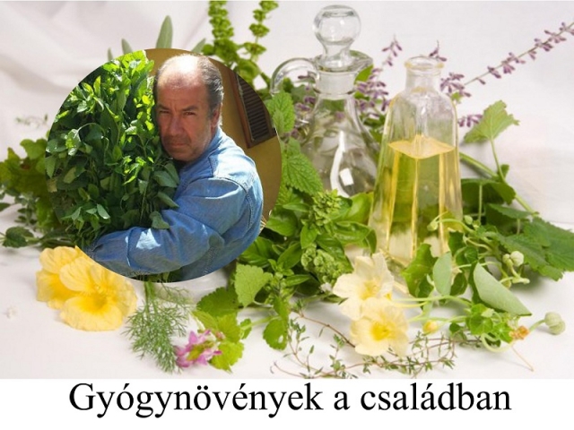 Gyógynövények a családban